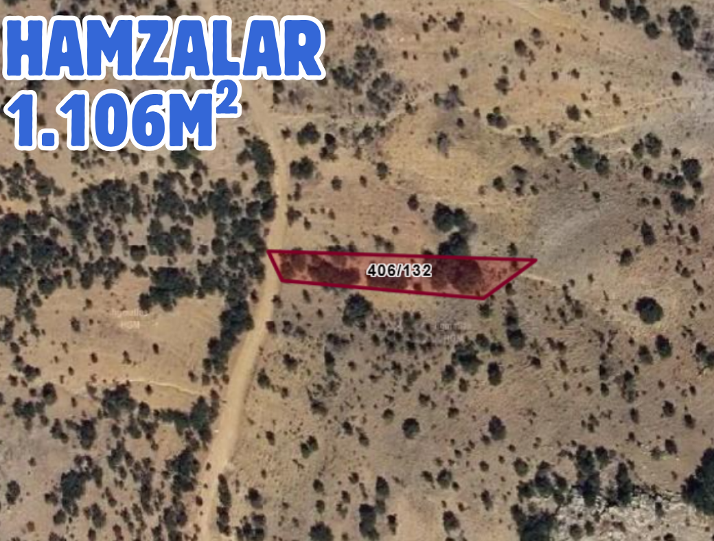 Fotoğraf